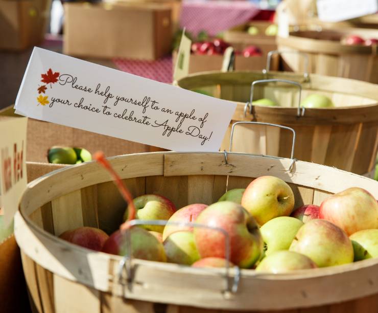 A group of students participate in decorating apples during Apple Day