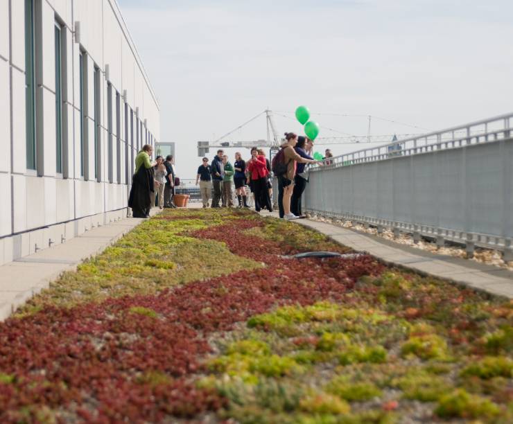 Group of people gathered on roof with vegetation growing