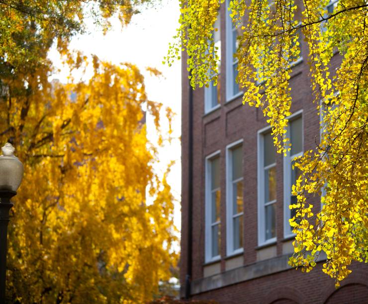 Fall leaves frame Corcoran Hall.