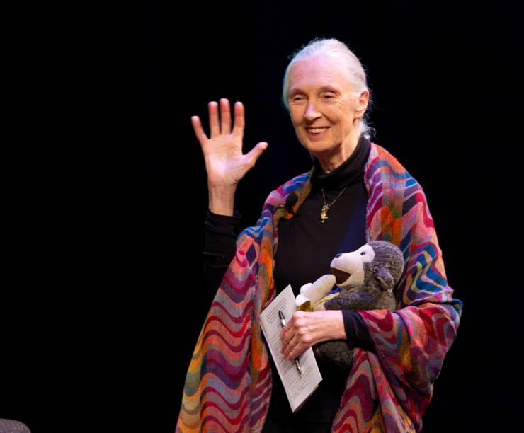 jane goodall stuffed animals