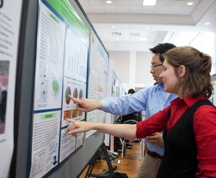 A man and women look at a research poster together in a hall lined with posters.