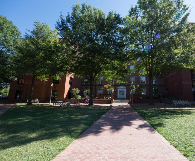 Stockton Hall and trees in front of it as seen from University Yard.