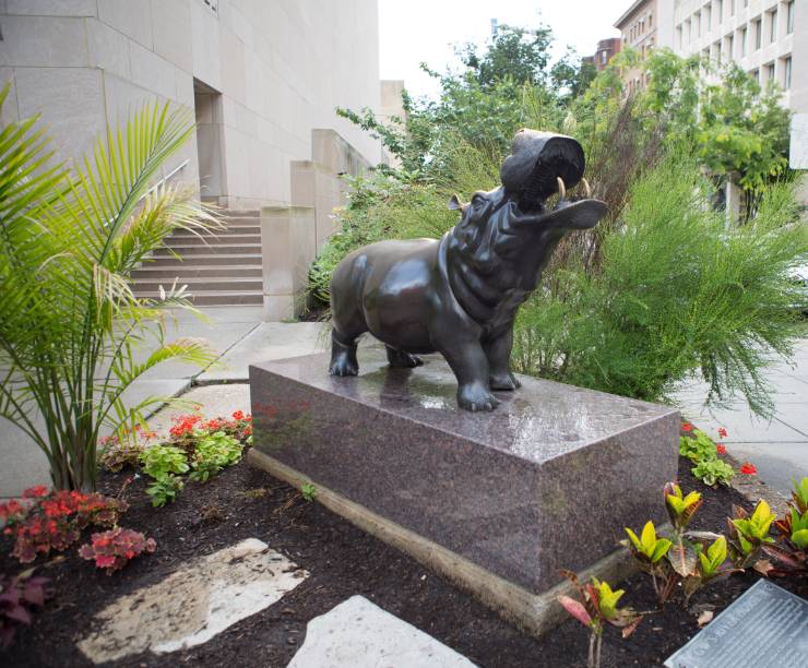 The bronze Hippo statue sits at the corner of Lisner Auditorium.