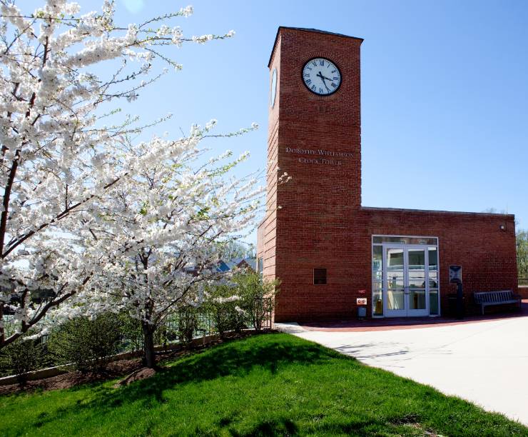 A red brick clock tower sits among spring trees in bloom.