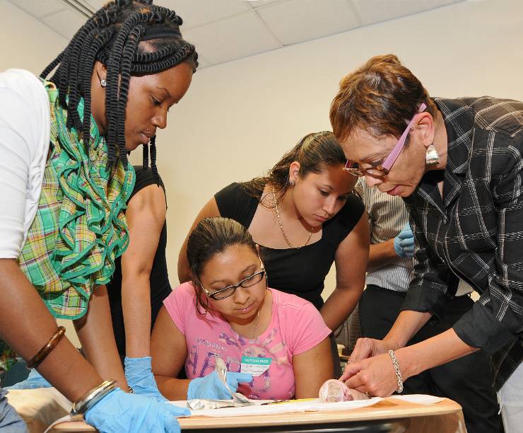 Students wearing gloves watch Dean Haywood as she makes a demonstration.