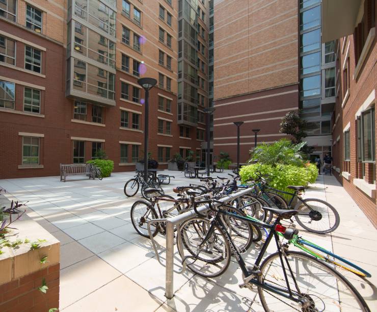 South Hall outdoor courtyard