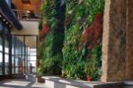 The Feynman Living Wall which is a two story high plant wall with 7,000 native and tropical plants.