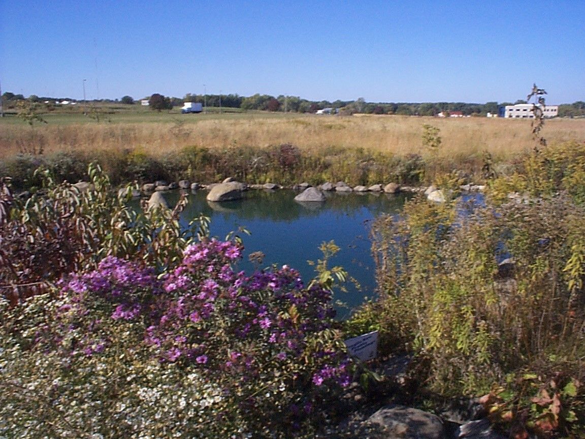 An image of the prairie swale after the year 2000, when shrubs, plants and ponds were introduced.