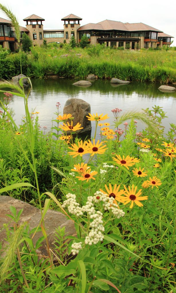 The prairie swale with the Agora towers in the background.