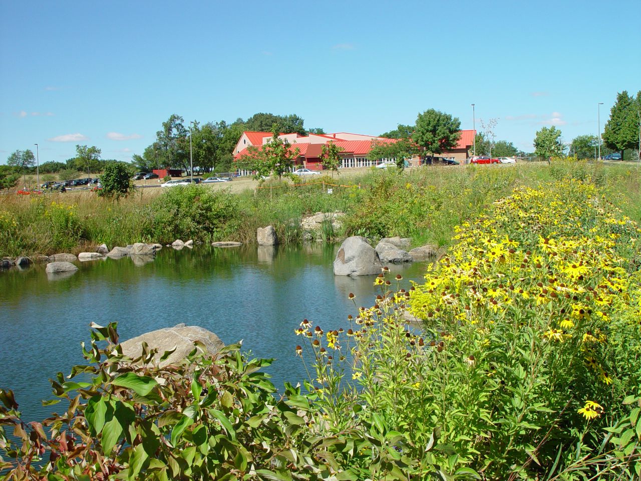 A view of Woods Hollow Children's Center from the pond across the street.