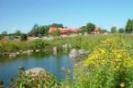 A view of Woods Hollow Children's Center from the pond across the street.