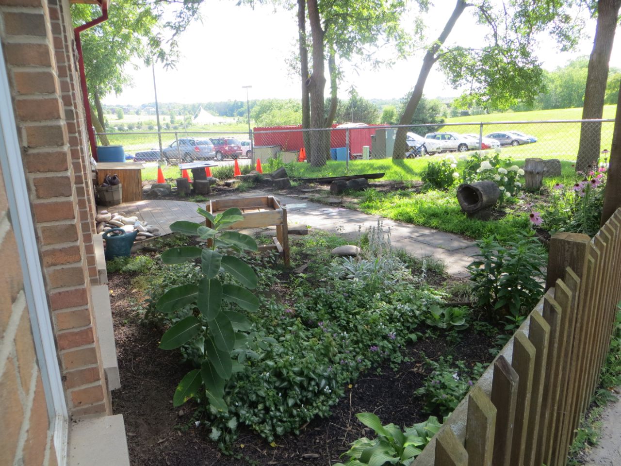 A small garden with growing plants that the children can help with.