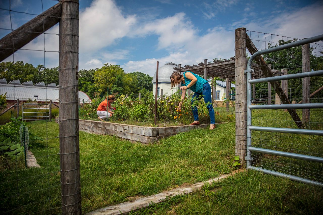 Employees working in the employee garden.