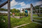 Employees working in the employee garden.