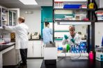 A photo of the general lab in the Rosalind Franklin Center where three scientist work. One pipetting, one working under a glass hood, and another grabbing supplies from a cabinet.