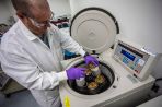 A scientist conducting protein purification in a lab at RFC.