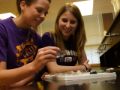 York Science CenterStudents compare minerals in geology