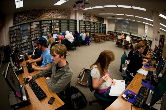 Rows of computers