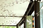 Small white disks are suspended by thin metal wire along the length of a window-lined corridor; a vertical banner hanging from a black column on the right depicts a white osprey emblem and the words “UNF Fine Arts Center.”