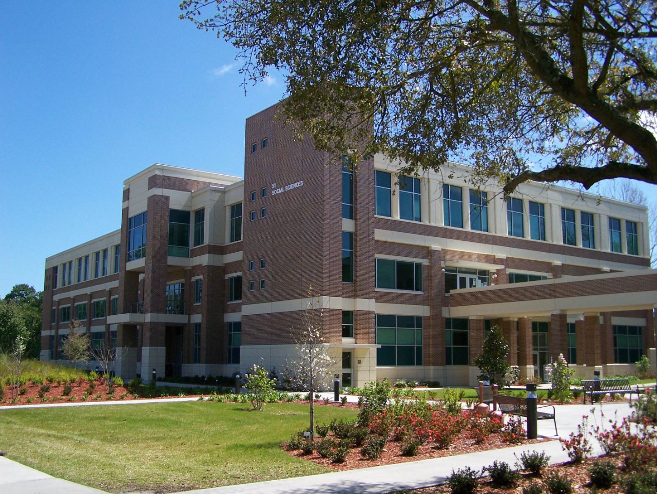 Brick building with white trim and large windows sits on green lawn with flowering bushes and a large tree in front