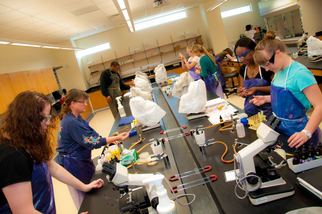 Students work in pairs at white microscopes along a long black table that sits in the middle of a room with wood cabinets lining the walls.