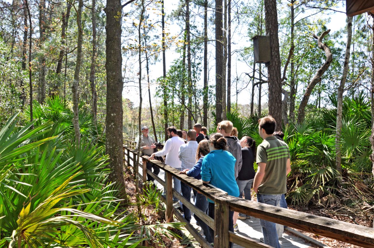 Surrounded by palmetto bushes and pine trees, a group of about 12 students walks on a wooden path following behind an adult who is gesturing to the plant life to the right of the walkway; in the distance is a body of water with tall tress on the far shore line.