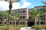 Three-story brick building with white trim sits at the end of a wide concrete sidewalk with shrubbery and palm trees on either side