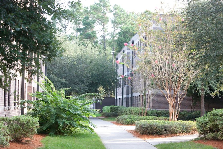 A wide concrete sidewalk is bordered on two sides by three-story brick buildings with white trim as well as landscaped shrubs and flowering trees