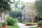 A wide concrete sidewalk is bordered on two sides by three-story brick buildings with white trim as well as landscaped shrubs and flowering trees