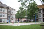 A group of six students plays volleyball in a sand pit within a grassy clearing between two off white and brown buildings; in the background are more buildings and a few tall pine trees.