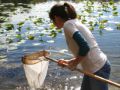 A female student is pulling back a net from the water.