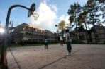 Two females and one male play basketball on the court.