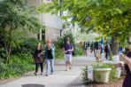 Several students walking by Schultz Hall.