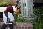 Two males and two females sit on a brick wall outside of Schultz Hall studying.