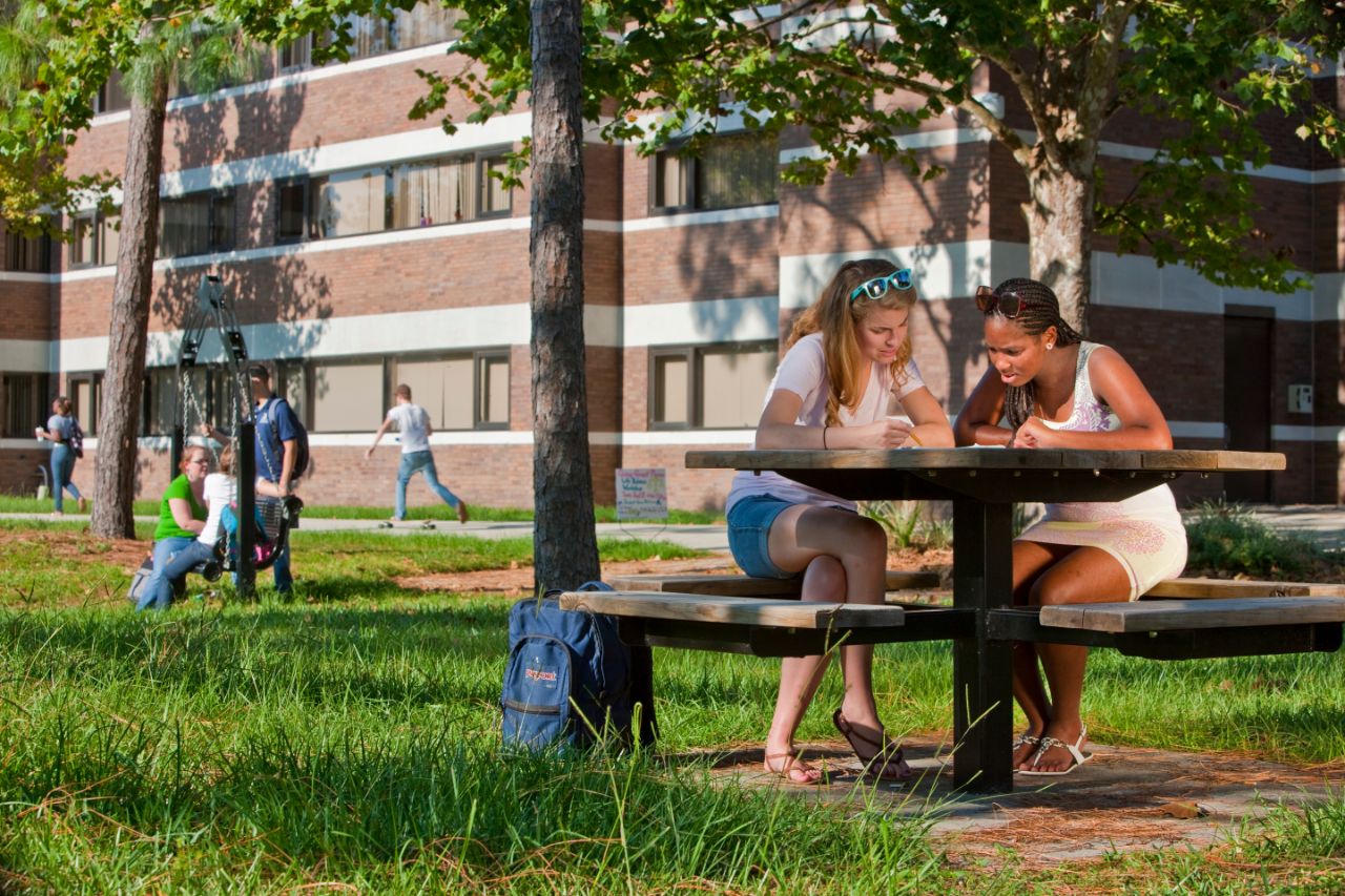 Two females sit at a picnic table studying. Students in the background on a swing.