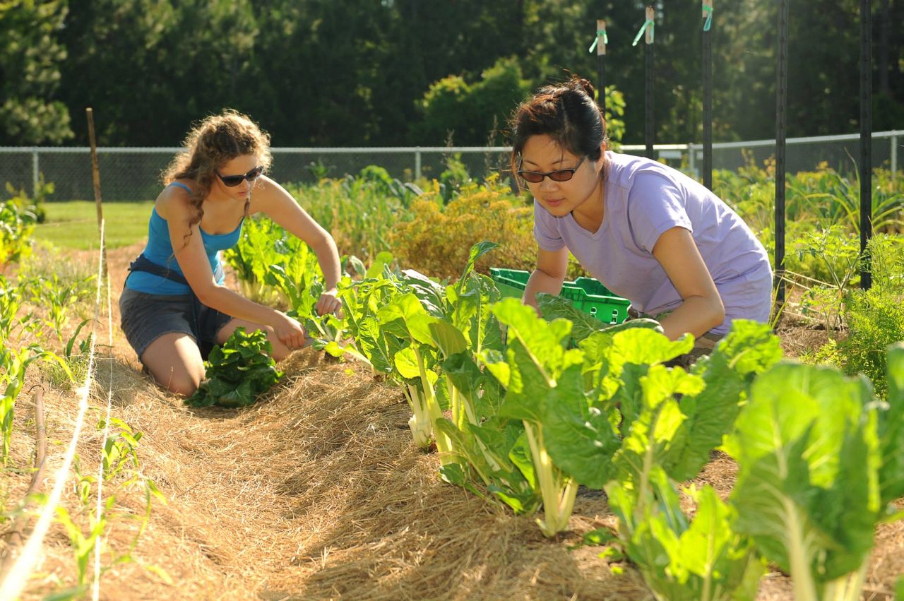 Two students working in the garden.